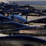 _94627633_47166416-2ff7-4785-b56b-b49a4a1ce8fb